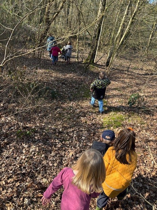 Kinder auf einem Ausflug im nahegelegenen Wald